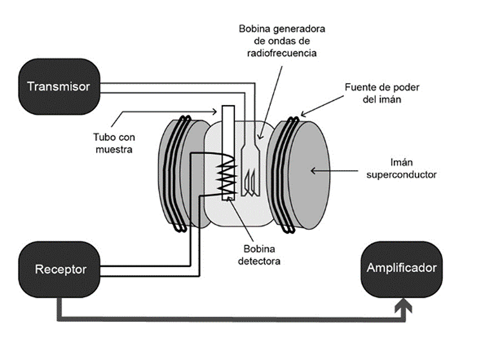 Diagrama de un espectr&oacute;metro de resonancia magn&eacute;tica nuclear. (Tomado y modificado de G&uuml;nther, 2013).