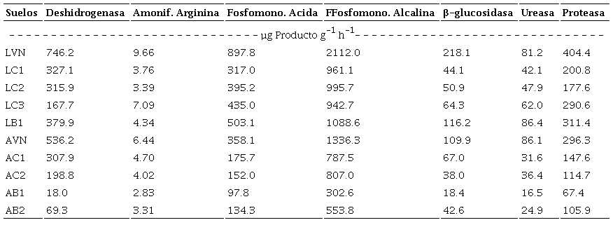Actividades enzim&aacute;ticas promedio en suelos de la cuenca del Lago de Valencia.