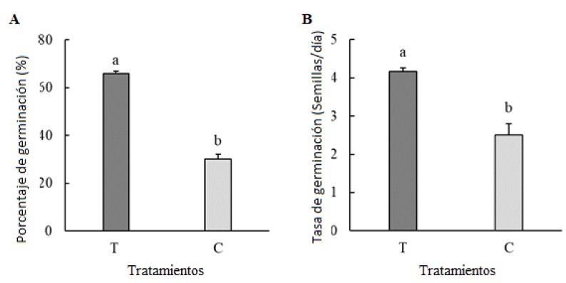 Figure 4: Effect of Streptomyces sp. RL8 in the percentage of germination (PG, A) and germination rate (TG, B), of Phaseolus acutifolius Gray. T = Bacterial treatment (RL8); C = Control treatment (sterile distilled water). Different letters show significant statistical difference (P < 0.05).