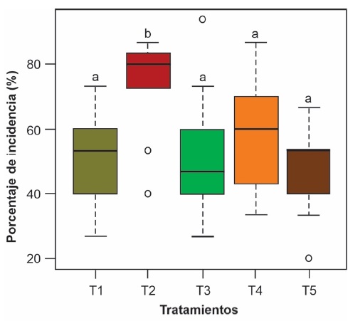 Figure 2: Percentage incidence of B. tabaci in pepper after the application of botanical extracts of Ruta graveolens, T1 = Allium cepa; T2 = Tagetes sp.; T3 = Mentha pulegium; T4 = insecticide; T5 = control. Different letters on the box plot indicate significant differences according to Dunn's test (P < 0.05).