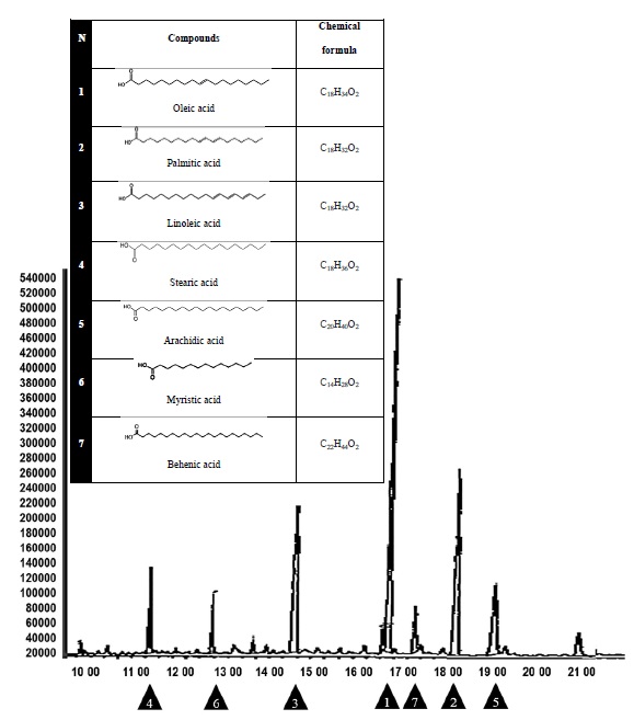 Chromatogram of the free fatty acid profile of peanuts under the effect of vermicompost leachate.