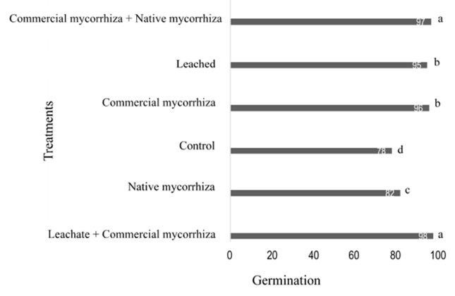 Evaluation of the germination percentage after 15 days of peanut sowing under the effect of six treatments. T1 = control; T2 = leached; T3 = commercial mycorrhiza; T4 = native mycorrhiza; T5 = leachate + commercial mycorrhiza; T6 = commercial + native mycorrhiza. Mean of three repetitions. Each column without a common superscript differs significantly at P <0.05.