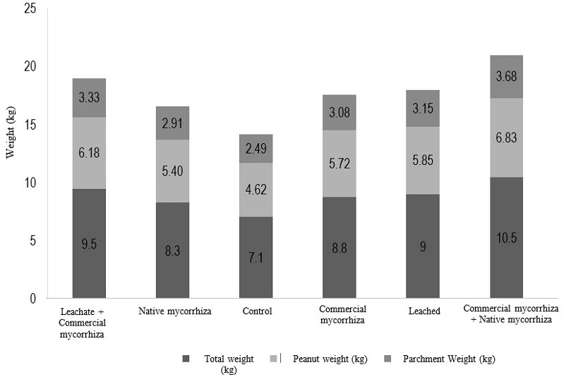 Analysis of the effect of vermicompost leachate and mycorrhizae on the relationship between fruit weight and parchment weight. Mean of three repetitions.