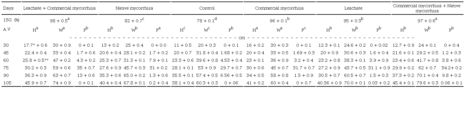 Evaluation of agronomic variables under the effect of vermicompost leachate and mycorrhizae on peanut crops.