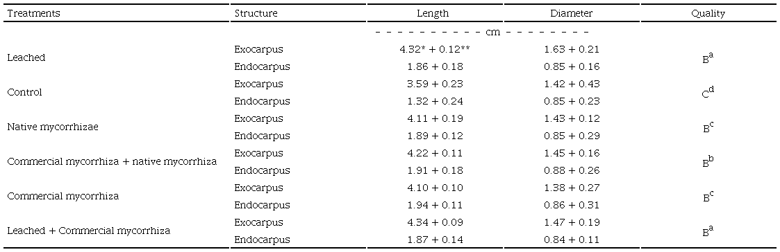 Evaluation of physical variables for peanut quality according to CODEX STAN 200-1995.