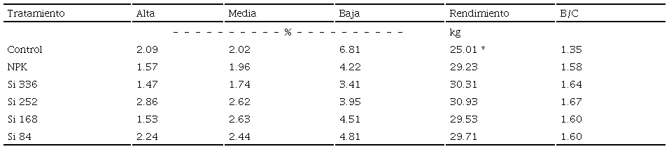 Table 3: Disease severity of tar spot (%) of 3 leaves from different height under different doses of silicon. Total yield per treatment and benefit/cost analysis (B/C).