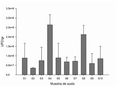 Figure 2:Count of colony-forming units of mesophilic bacteria
								in agricultural soils of the northeastern zone of the Ecuadorian
								Amazon.