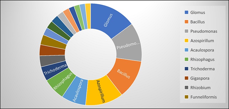 Figure 4: Genera of microorganisms in biofertilizers during the 2015-2020 period.