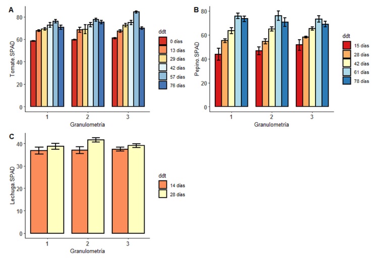 Figure 2: A) SPAD readings in tomato, B) cucumber, and C) lettuce in three particle sizes of tezontle used as substrate. Granulometry 1, 2 and 3 correspond to particle diameter less than 1 cm (((1), greater than 5 cm (((5) and a 50:50 (v:v) mix of both particle sizes ((1:(5), respectively.