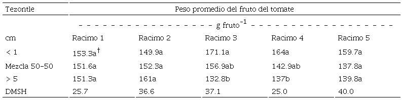 Table 4: Average weight of tomato fruits in three tezontle particle sizes.