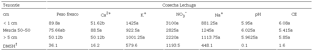 Table 6: Effect of tezontle particle size on fresh lettuce weight (g), ions Ca2+, K+, NO3-, Na+ concentration (mg kg-1), and CE (electrical conductivity) (dS m-1).