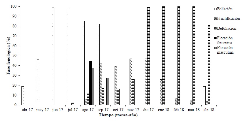 Dendro-fenograma de ambos sexos de cuachalalate, crecidos sobre litosol degradado. 