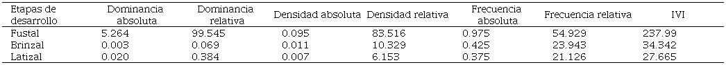 Índice de Valor de Importancia por etapas de desarrollo del cuachalalate, en una selva baja caducifolia asentada sobre suelos de litosol degradado.