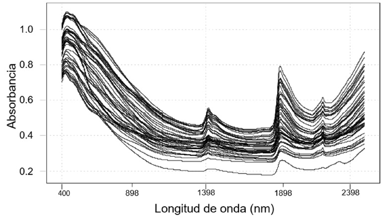 Espectros VIS-NIR-SWIR de las muestras de suelos de la Regi&oacute;n de los R&iacute;os Tabasco, M&eacute;xico.  