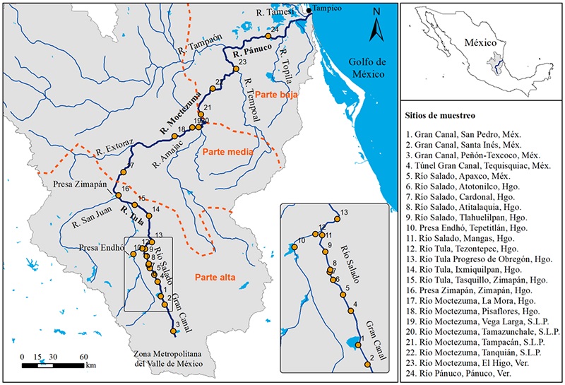 Sitios de muestreo en el cauce principal de la cuenca del r&iacute;o P&aacute;nuco. 