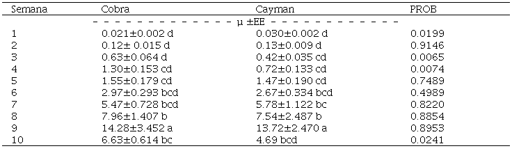 Peso seco de hojas g planta-1 a distintas semanas de crecimiento para los cultivares Cobra y Cayman.
