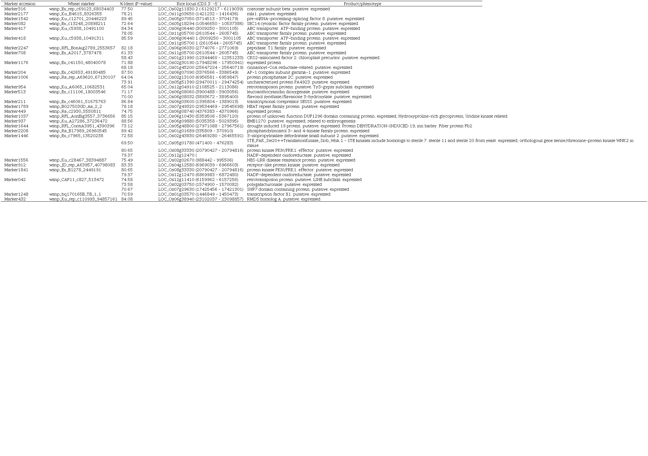 Proteins associated to rice loci with high synteny with sequences of wheat markers linked to field QTL under A. brasilense biofertilization.