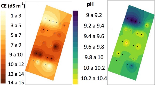 Variabilidad espacial inicial de pH y CE en la parcela de estudio. Los contornos de cada variable se interpolaron con el m&eacute;todo de la distancia inversa ponderada. Las im&aacute;genes se reprodujeron con la librer&iacute;a gstat del paquete R (R Core Team, 2020).