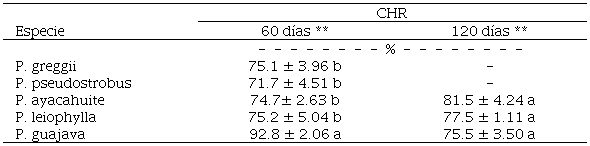 Contenido h&iacute;drico relativo por especie en distintas temporadas.