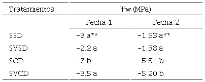 Resultado de la variable potencial h&iacute;drico de la planta (Ψw) entre los tratamientos Suelo-vermicompost-d&eacute;ficit h&iacute;drico (SVCD), suelo-d&eacute;ficit h&iacute;drico (SCD), suelo-vermicompost-sin d&eacute;ficit h&iacute;drico (SVSD) y suelo-sin d&eacute;ficit h&iacute;drico (SSD).