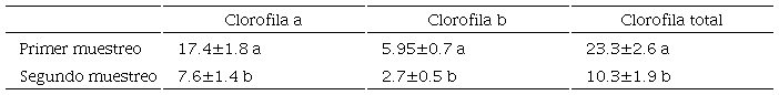 Resultados de clorofila (μg/cm2) de los dos muestreos realizados en plantas de menta bajo estr&eacute;s h&iacute;drico y vermicompost.