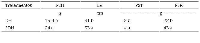 Promedios de la comparaci&oacute;n entre medias de tratamientos con d&eacute;ficit h&iacute;drico (DH) y sin d&eacute;ficit h&iacute;drico (SDH), para el peso seco de hojas (PSH), longitud de ra&iacute;z (LR), peso seco del tallo (PST) y peso seco de la ra&iacute;z (PSR).
