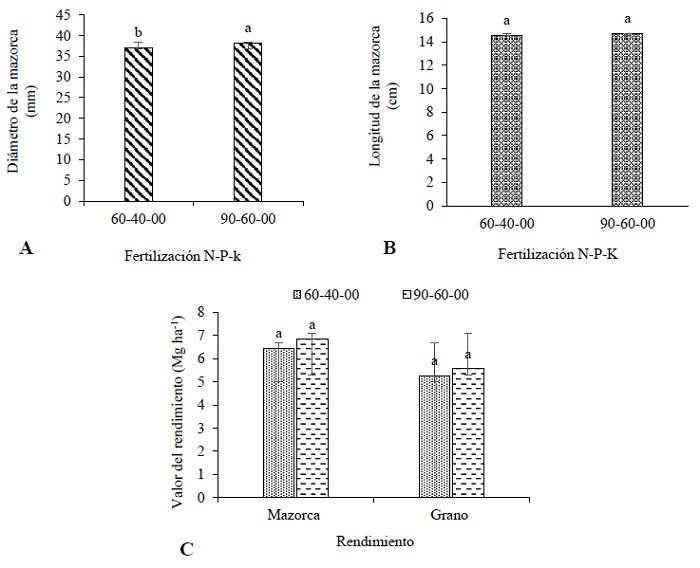 Efecto de la f&oacute;rmula de fertilizaci&oacute;n ed&aacute;fica en el di&aacute;metro de mazorca (A) y la longitud (B), y el rendimiento de mazorca y grano (B) de ma&iacute;z H-568. Medias con la misma letra en cada variable son estad&iacute;sticamente iguales, Tukey, 0.05. DMSLongitud = 0.73. DMSDi&aacute;metro = 0.81. DMSRend. mazorca = 0.66. DMSRend. grano = 0.44. 