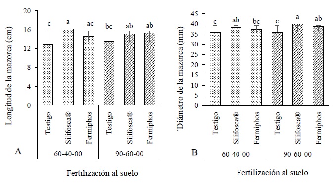Comportamiento del tama&ntilde;o (A: longitud y B: di&aacute;metro) de la mazorca de ma&iacute;z H-568 en respuesta a la fertilizaci&oacute;n silicatada en combinaci&oacute;n con las f&oacute;rmulas de N-P-K. Barras con letras distintas indican diferencias estad&iacute;sticas (Tukey, P &le; 0.05; DHSLongitud = 0.73; DHSDi&aacute;metro = 0.81). 