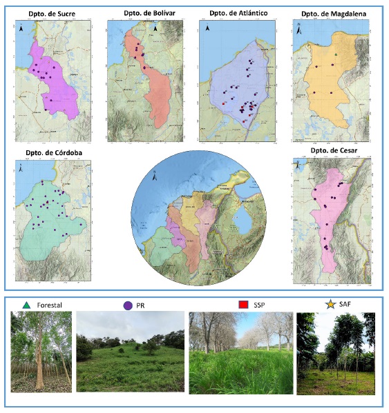 Ubicaci&oacute;n de los sitios de muestreo. Sistemas de praderas ganader&iacute;a tradicional (Pr), sistemas agroforestales con cacao (SAF) y sistemas silvopastoriles (SSP), distribuidos en los departamentos de Atl&aacute;ntico, Bol&iacute;var, Cesar, Magdalena, Sucre y C&oacute;rdoba. Fuente: Elaboraci&oacute;n propia.