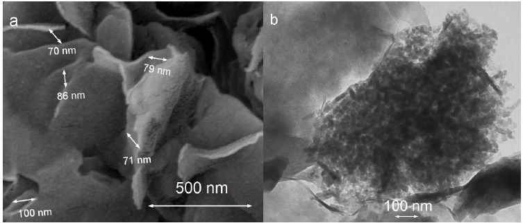 a) Microscopia electr&oacute;nica de barrido (SEM), b) Microscopia electr&oacute;nica de trasmisi&oacute;n (TEM) del nanocompuesto nitrogenado. 