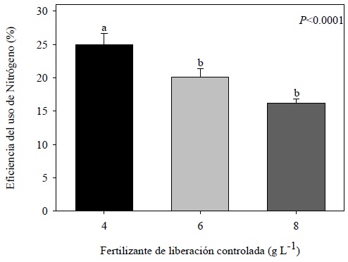 Eficiencia del uso de nitr&oacute;geno (definido como la relaci&oacute;n entre la cantidad de N extra&iacute;do en el follaje y la cantidad de N aplicado) en plantas de Pinus cooperi C. E. Blanco, con dosis de 4, 6 y 8 g L-1 de fertilizante de liberaci&oacute;n controlada a 49 semanas en vivero. Valores con letras distintas sobre las barras indican diferencias significativas (P < 0.05) seg&uacute;n Tukey, n = 48.