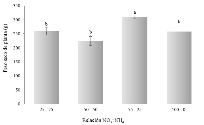 Peso seco de planta por efecto de la relación NO3-:NH4+ en hierbamora (Solanum nigrescens Mart. & Gal.) desarrollada en invernadero e hidroponía. Valores con la misma letra son estadísticamente similares de acuerdo con la prueba de Tukey (α = 0.05). Las líneas en el centro de las barras son la desviación estándar. 