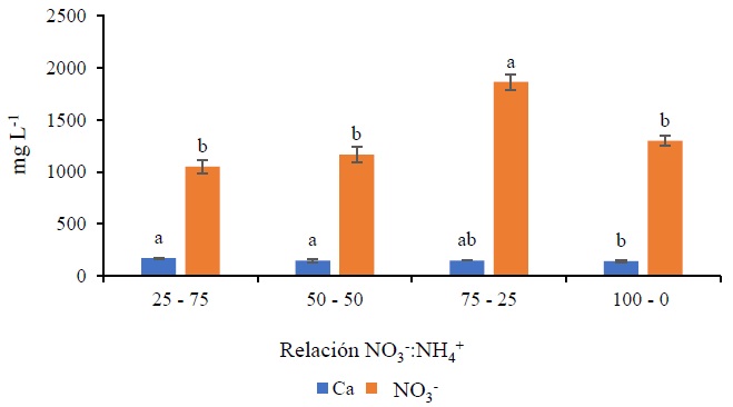 Concentración de iones específicos en el extracto celular en hojas de hierbamora (Solanum nigrescens Mart. & Gal.), por efecto de la relación NO3-:NH4+. Valores con la misma letra son estadísticamente similares de acuerdo con la prueba de Tukey (α = 0.05). Las líneas en el centro de las barras son la desviación estándar.