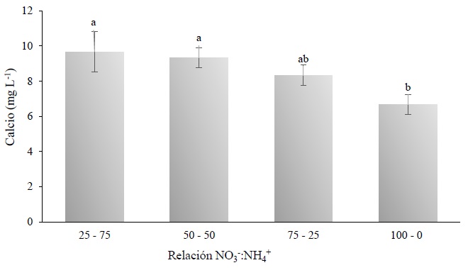 Concentración de calcio en jugo de frutos por efecto de la relación NO3-:NH4+ en hierbamora (Solanum nigrescens Mart. & Gal.). Valores con la misma letra son estadísticamente similares de acuerdo con la prueba de Tukey (α = 0.05). Las líneas en el centro de las barras son la desviación estándar. 