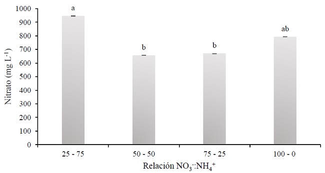Concentración de NO3- en frutos por efecto de la relación NO3-:NH4+ en hierbamora (Solanum nigrescens Mart. & Gal.). Valores con la misma letra son estadísticamente similares de acuerdo con la prueba de Tukey (α = 0.05). Las líneas en el centro de las barras son la desviación estándar. 