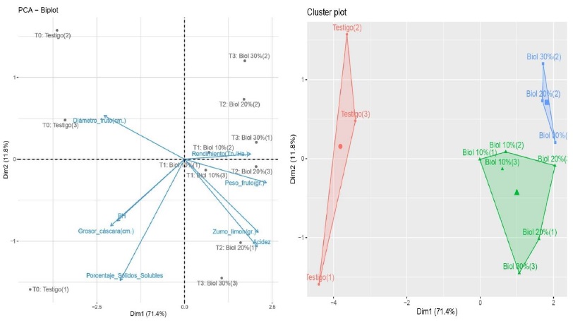 “Análisis de componentes principales” (ACP) y parámetros evaluados en el cultivo de limón sútil: diámetro del fruto (DF), peso del fruto (PF), zumo de limón (ZL), grosos de cascara (GC), acidez (AD), porcentaje de solidos solubles (PSS), pH, rendimiento por hectárea (RHa)., A) Biplot de ACP, B) gráficos Cluster plot.
