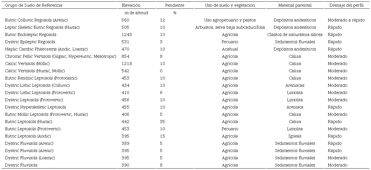 Caracterizaci&oacute;n morfol&oacute;gica.