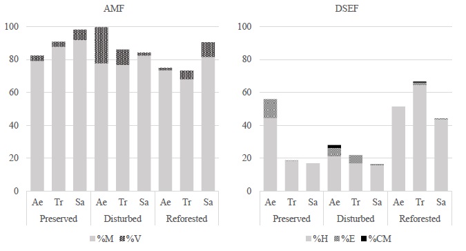 Intensity of mycorrhizal colonization and abundance of arbuscules by plant species and study area. Arbuscular mycorrhizal fungi (AMF), dark septate endophytes (DSEF), %M: cenocitic hyphae, %V: vesicles, %H: septate hyphae, %E: sclerotia. Ae = Acaena elongate; Tr = Trisetum sp; Sa = Senecio angulifolius.