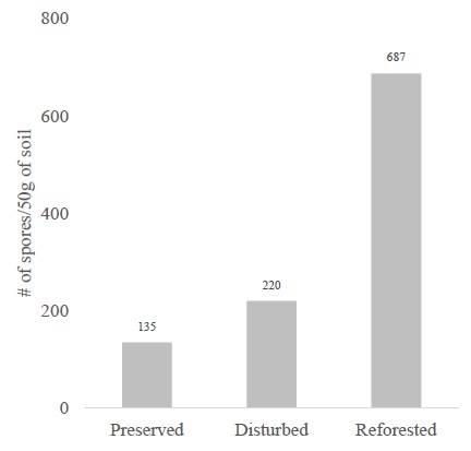 Average number of spores present in 50 g of soil.