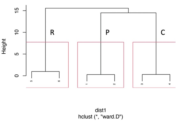 Similarity (Euclidean distances). Clusters according to the proportion of fungal colonization associated with the three types of land use evaluated.