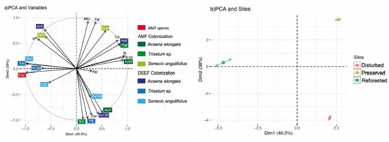 Principal Component Analysis (PCA). a) soil variables related to the number of spores (Esp), AMF colonization (M: percentage of mycorrhization; V: vesicles) and HESO (H: percentage of colonization; E: slrerotia and CM: moniliform cells) in each plant species and b) distribution by sampling sites.