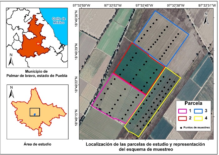 Ubicaci&oacute;n e informaci&oacute;n de las parcelas utilizadas en el estudio. Elaboraci&oacute;n propia.