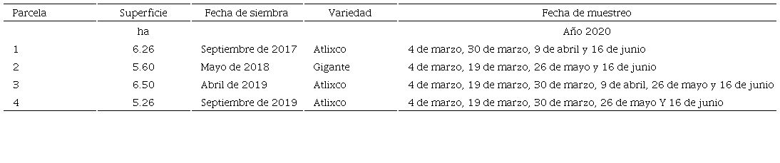 Caracter&iacute;sticas de las parcelas estudiadas y fechas en que se realizaron las mediciones de campo. 