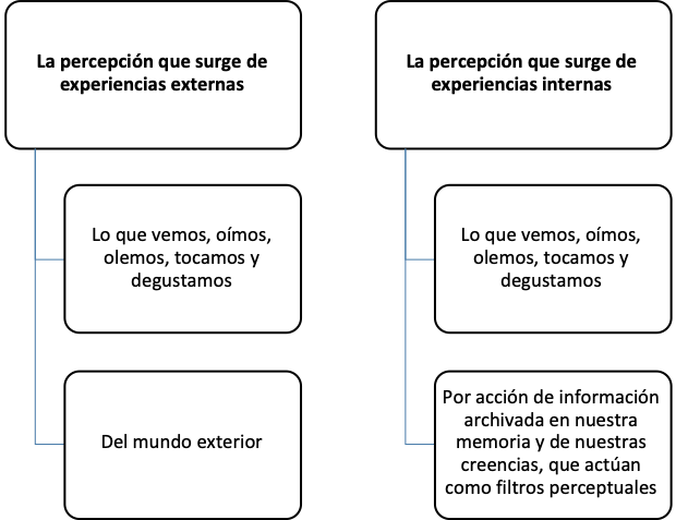 Formas en las que se presenta la percepci&oacute;n sensorial