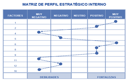 Use of the Internal Strategic Profile Matrix.