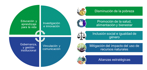 mbitos de accin y ejes de sustentabilidad