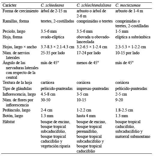 Principales diferencias entre Calyptranthes schiedeana, C. schlechtendaliana y C. moctezumae.