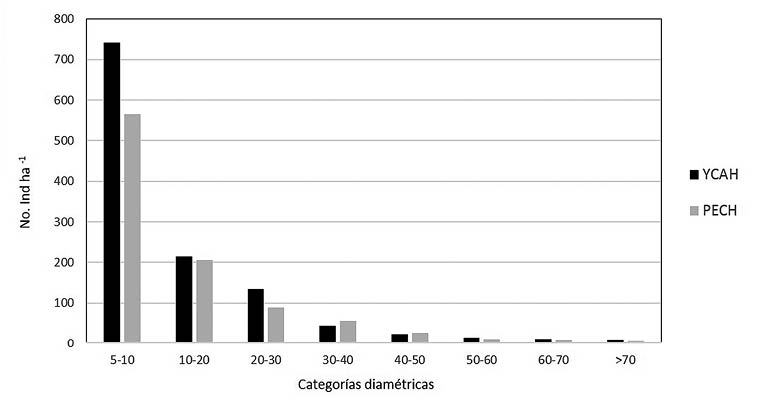Densidad de especies arbóreas de ≥5 cm DAP por categorías diamétricas de las selvas medianas perennifolias de canacoite en Tabasco