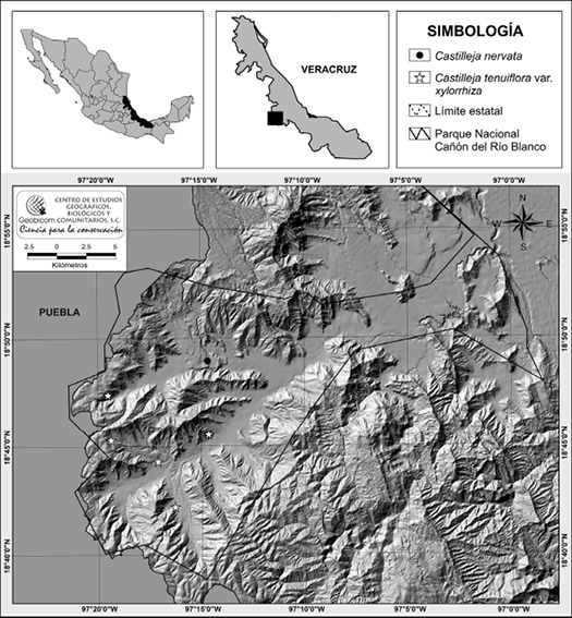 Mapa de distribuci&oacute;n de C. nervata Eastw. y C. tenuiflora Benth. var. xylorrhiza (Eastw.) G.L. Nesom dentro del pol&iacute;gono correspondiente al Parque Nacional Ca&ntilde;&oacute;n del R&iacute;o Blanco en el estado de Veracruz, M&eacute;xico. Mapa: J. E. Rivera-Hern&aacute;ndez, modificado de INEGI (2016).