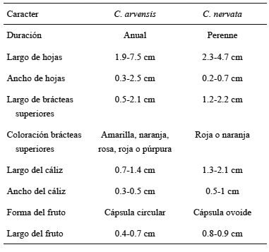 Comparaci&oacute;n de los caracteres de C. arvensis Schltdl. & Cham. y C. nervata Eastw.